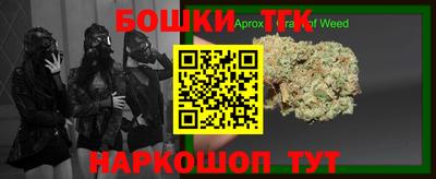 МДПВ Славгород